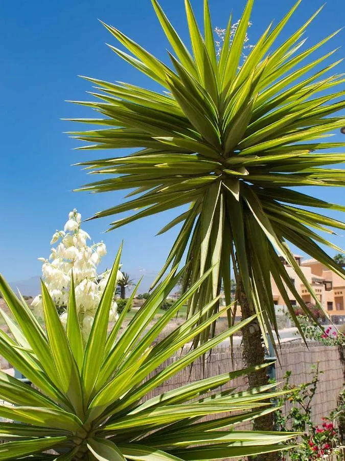 Villa Island Golf Villas, Amarilla Golf And Country Club San Miguel De Abona